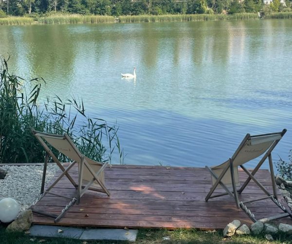 sali-nunti-iasi-gradina (6)